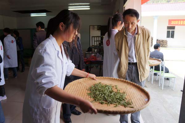 香港最新最准最全资料