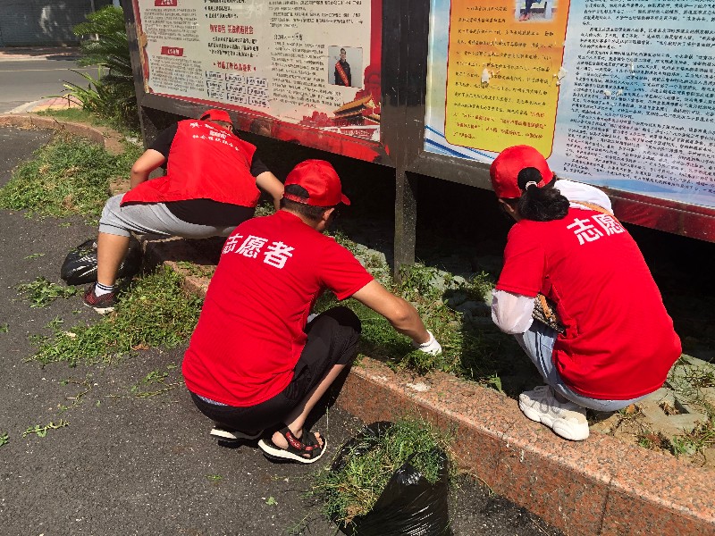 香港最新最准最全资料