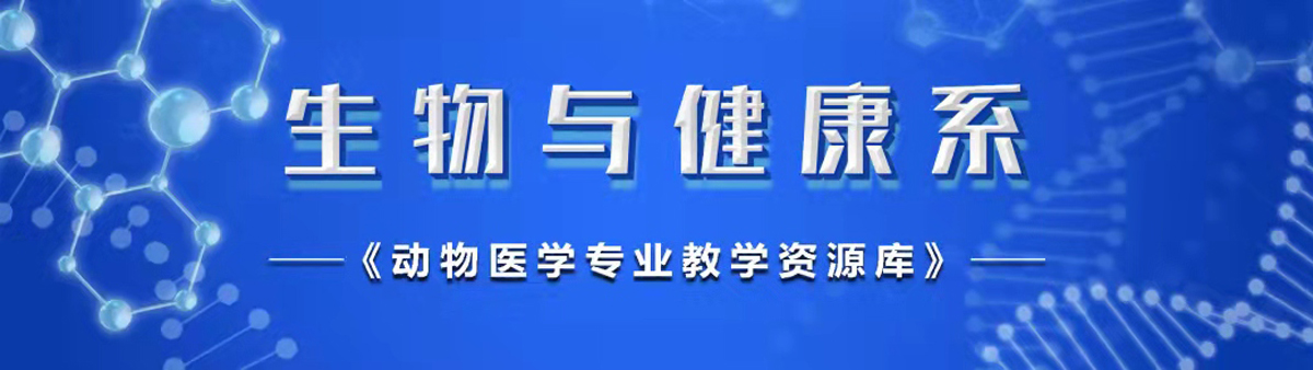 香港最新最准最全资料