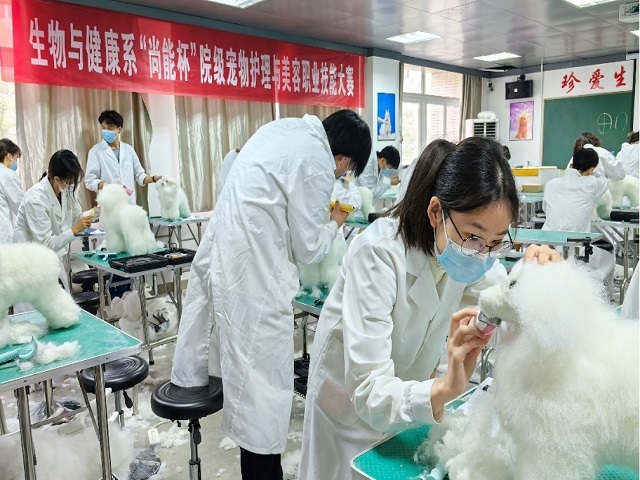 香港最新最准最全资料