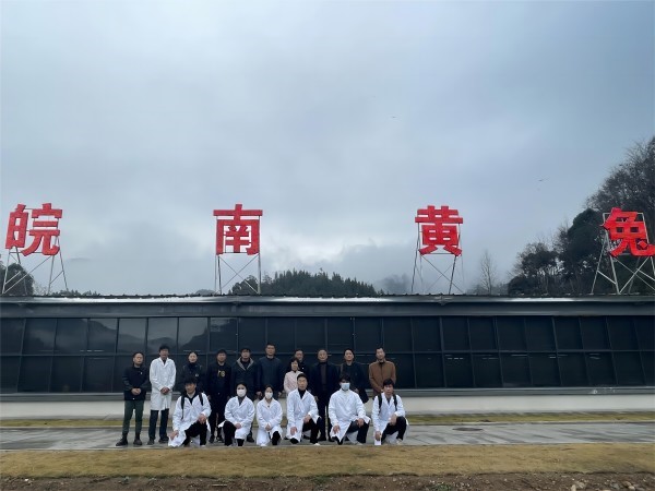 香港最新最准最全资料